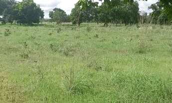 Imagem 7: . Uma fazenda 110 alqueires 50 Km da capital