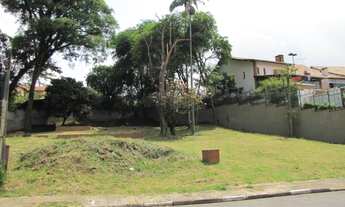 Imagem 4: SÃO PAULO - Terreno Padrao - CAMPO LIMPO