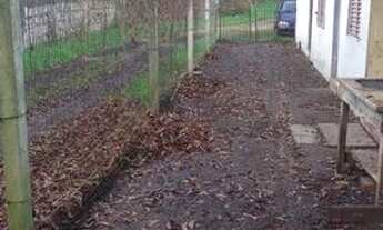 Imagem 4: Alugo casa Vila nova