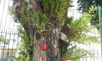 Imagem 3: Apartamento à venda em Mooca com 90 m², 3 quartos, 1 vaga