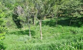 Imagem 5: Terreno - Joaquim Egídio - Campinas