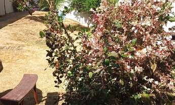 Imagem 1: Agio Casa 3 Qts, suite, 150m - Residencial Talismã - Goiânia