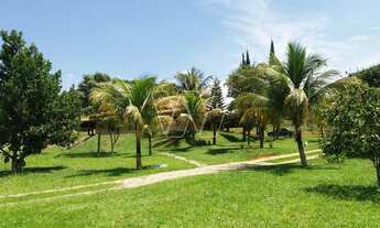 Imagem 4: Sítio - Sousas - Campinas