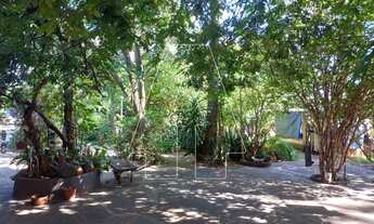 Imagem 6: Araçatuba - Chácara - Chácaras Arco-Íris