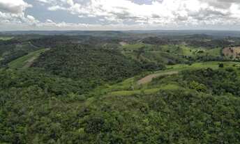 Imagem 3: Vendo fazendinha em Nazaré das farinha