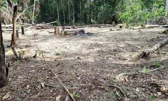 Imagem 3: Vendo terreno com igarape