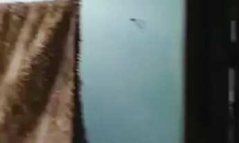 Imagem 4: Casa jardim Atlântico