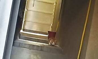 Imagem: Estou procurando uma casa para comprar no