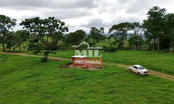 Imagem 5: Fazenda 191 alqueires ( 924 hectares) ipameri -GO