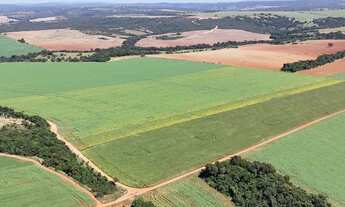 Imagem 4: Fazenda de 178 alqueires em Ipameri-Go