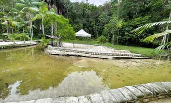 Imagem 6: Sítio em Rio Preto da Eva