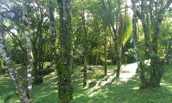 Imagem 2: Natureza viva e original