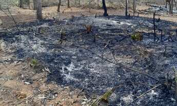 Imagem 3: Terra Boa Chácara com venda por R$60.000