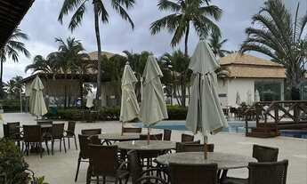 Imagem 4: Lote maikai, melhor oferta^