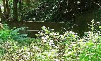 Imagem: Vendo terreno no Ribeirão da Ilha, lugar