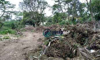 Imagem: Terreno com 7 Lotes - Totalizando 3.700m²