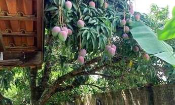 Imagem 5: Chácara com 3 dormitórios à venda, 1056 m² por R$ 900.000,00 - Condomínio Portal dos Nobre