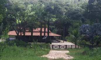 Imagem: Fazendinha 14 alqueires