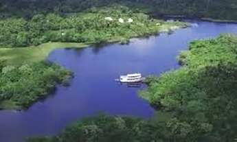 Imagem 6: AMAZONAS: Área a venda de 10 mil hectares, com a documentação completa