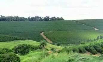 Imagem 2: Linda fazenda para venda em Bom Sucesso MG