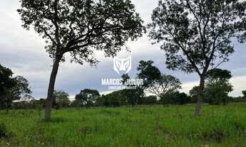 Imagem 4: FAZENDA NA REGIÃO DE SÃO FRANCISCO DE 1000 HECTARES PARA PECUARIA NORTE DE MINAS