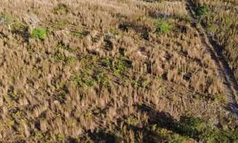 Imagem 4: Vendo essa Chácara na manchete