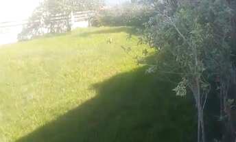 Imagem 6: Imóvel para venda tem 420 metros quadrados em Pontinha - Araruama - RJ