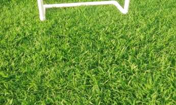 Imagem 7: Chácara em Bonfinópolis