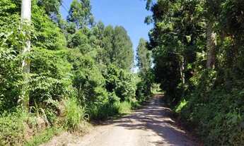 Imagem 4: Sítio / Chácara para Venda em Nova Petrópolis, Linha Brasil Fundos