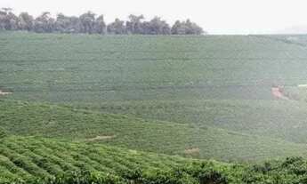 Imagem: Linda fazenda para venda em Bom Sucesso