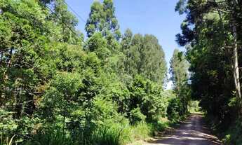 Imagem 3: Sítio / Chácara para Venda em Nova Petrópolis, Linha Brasil Fundos