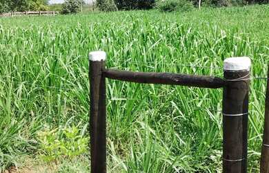 Imagem 3: Chácara Chácara com venda por R$350.000