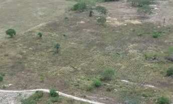 Imagem 6: Fazenda com 300 tarefas em São José da Tapera-AL