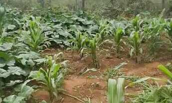 Imagem 4: Venda ou troca Chácara com venda por R$110.000