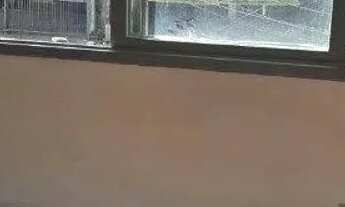 Imagem 7: Apartamento em Partenon