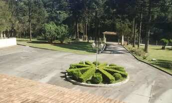 Imagem 3: CHÁCARA FORMADA EM ALMIRANTE TAMANDARÉ