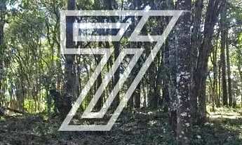 Imagem 4: Terreno com 4.400m² no O Recanto I - Piraquara/PR