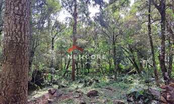 Imagem 5: Sítio em Estrada da Carapina - Vale do Carapina - São Francisco de Paula/RS