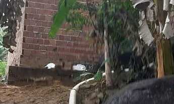 Imagem 7: CASA COM MINI SÍTIO