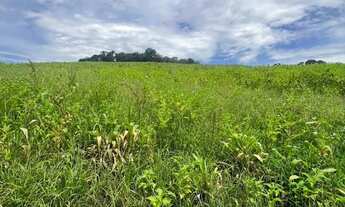 Imagem 6: Lotes amplos com condições especiais de pré-lançamento