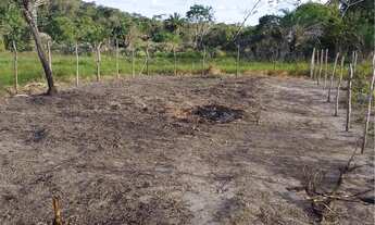 Imagem 2: TERRENO Á VENDA