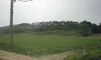 Imagem 5: Área à venda, 78301 m² por R$ 7.500.000,00 - Jardim Silvana - Almirante Tamandaré/PR