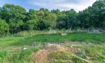 Imagem 4: Vendas Terreno Curitiba PR