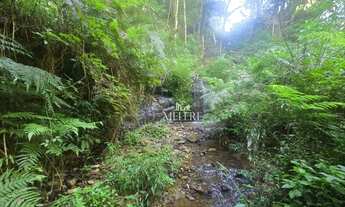 Imagem 5: Chácara à venda, 9970 m² por R$ 1.540.000,00 - Colonia Santa Gabriela - Almirante Tamandar