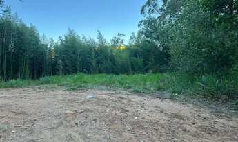 Imagem 7: Vende-se terreno inhayba, estrada das laranjeiras