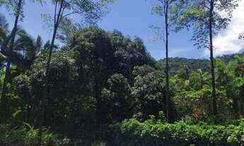 Imagem 7: Fazendinha para Venda em Cachoeiras de Macacu, Papucaia, 5 dormitórios, 3 suítes, 5 banhei