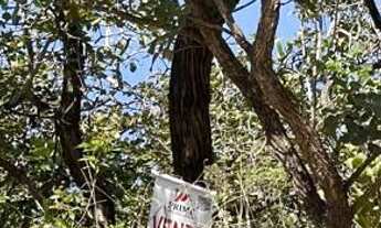 Imagem 2: Terreno - Cardeal Mota - Serra do Cipó