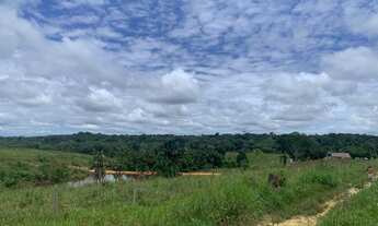 Imagem 4: Fazenda Em Cruzeiro do Sul