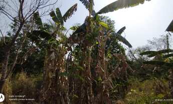 Imagem 2: Chácara venda 5Ha São Gerônimo