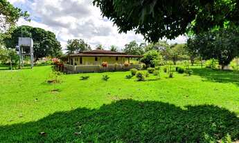 Imagem: Sensacional Sitio na localidade de Murutuba